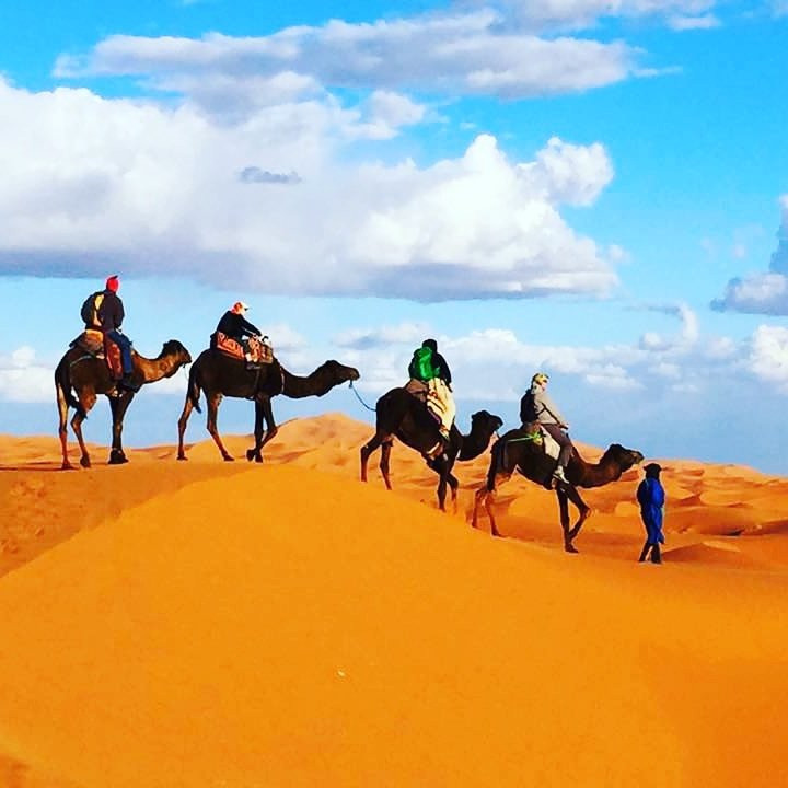 Morocco Desert Sahara Tours景点图片