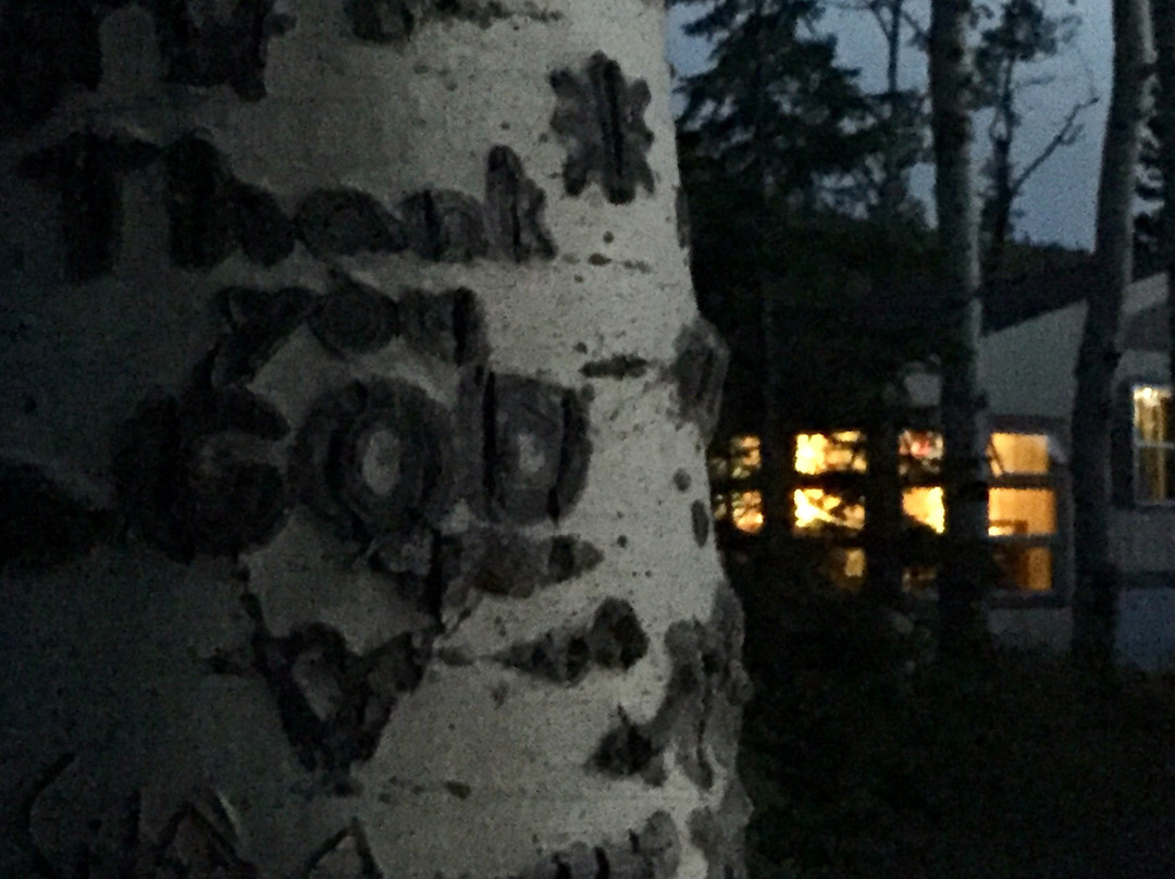 Eagle Lodge and Lakeside Cabins主图