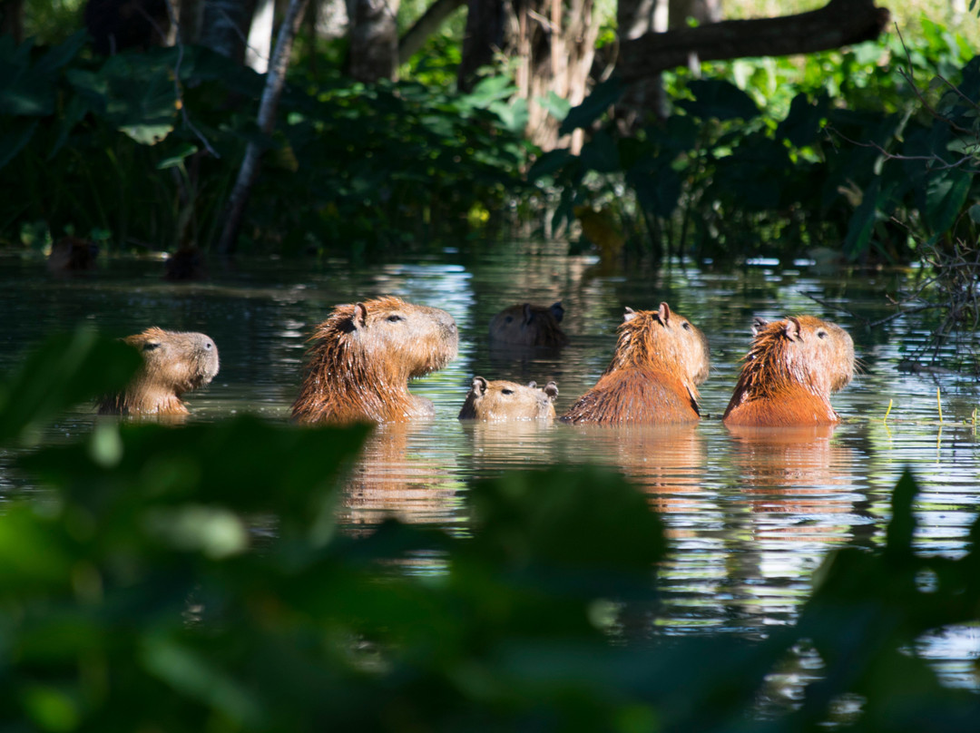 Colpa Caranda Eco Resort主图