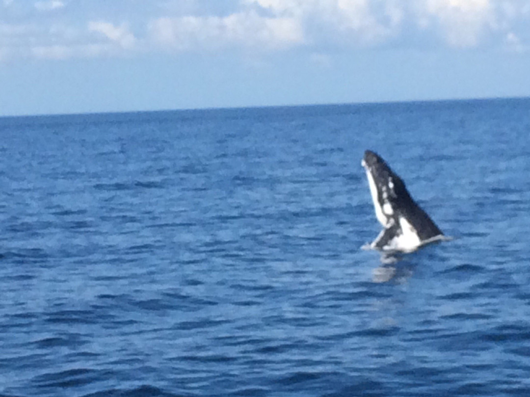 Tweed Heads Visitor Information Centre-堤维德岬必去景点
