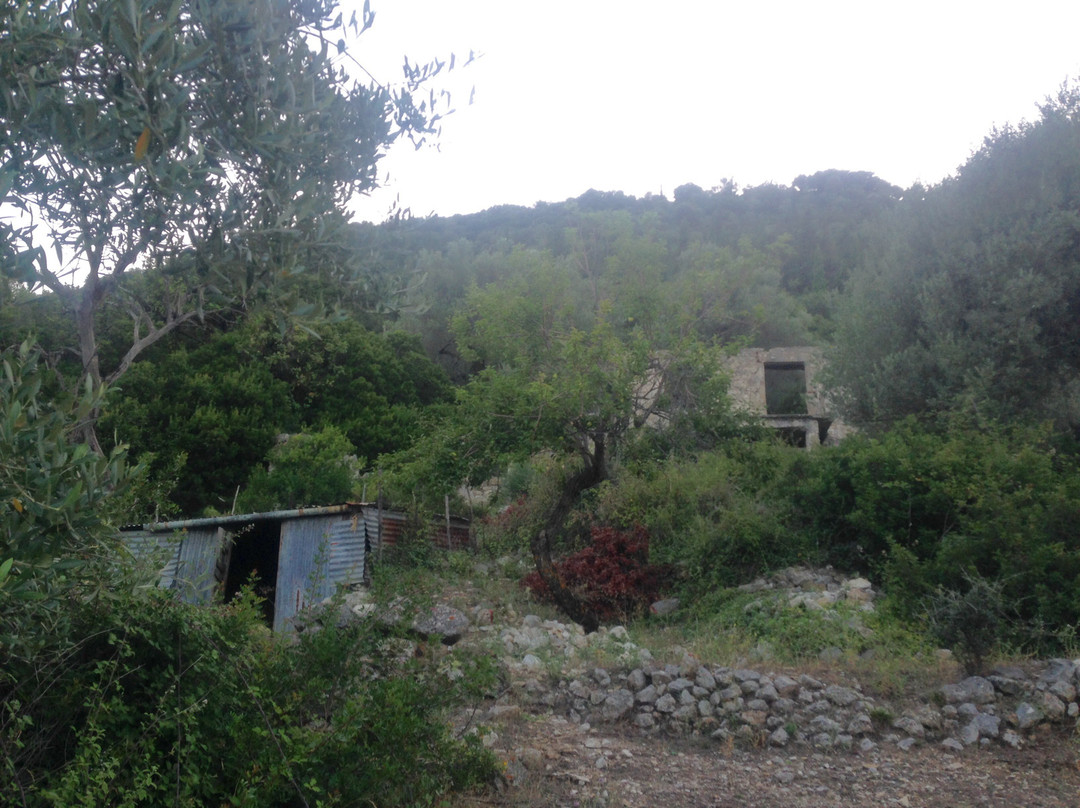 Words & Walks-Ithaca必去景点