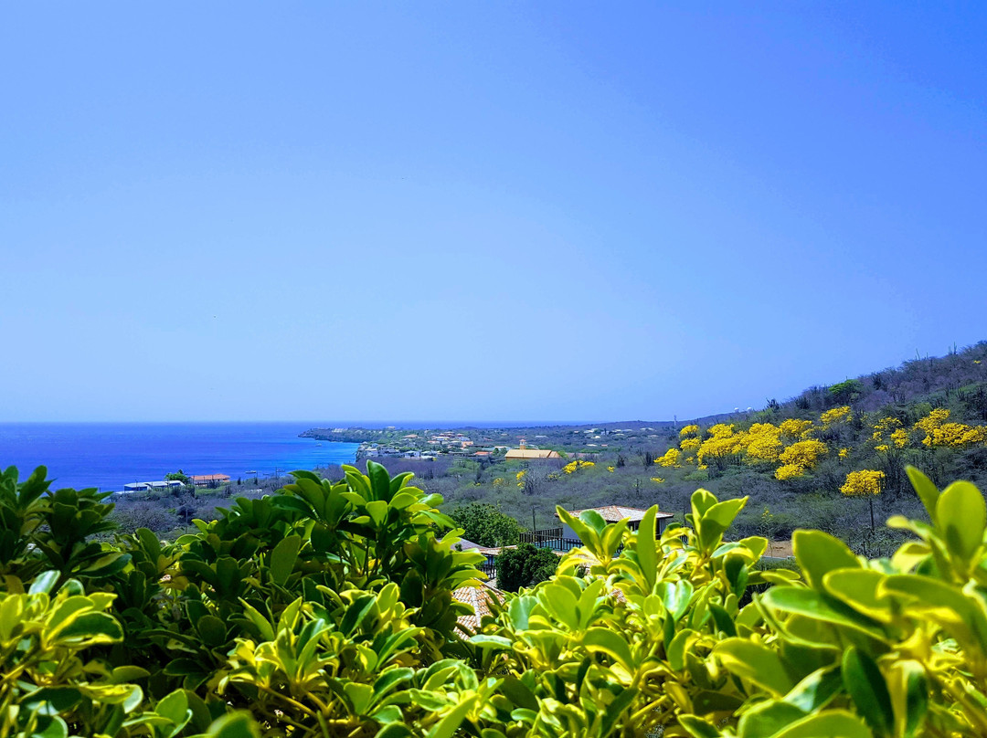 Punta West Bed & Breakfast Curacao主图