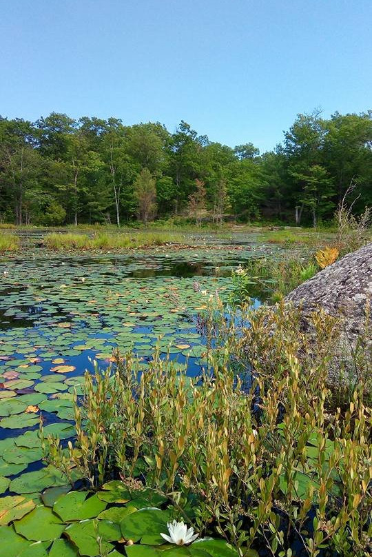 Queen Elizabeth II Wildlands Provincial Park-Kawartha Lakes必去景点