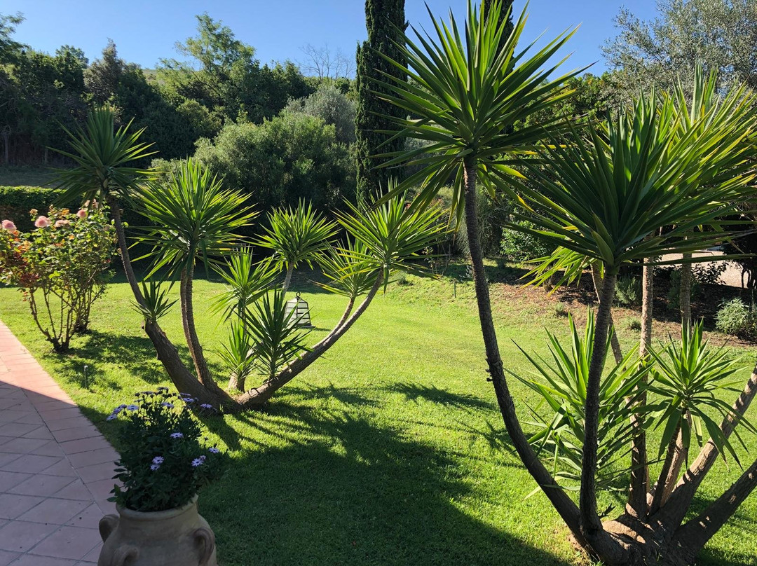 Casale Farnesiana B&B主图