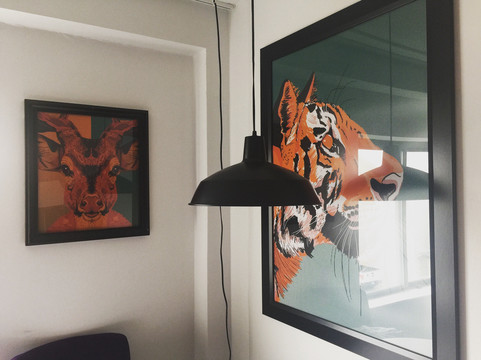 波士顿奥尔斯顿公寓酒店主图