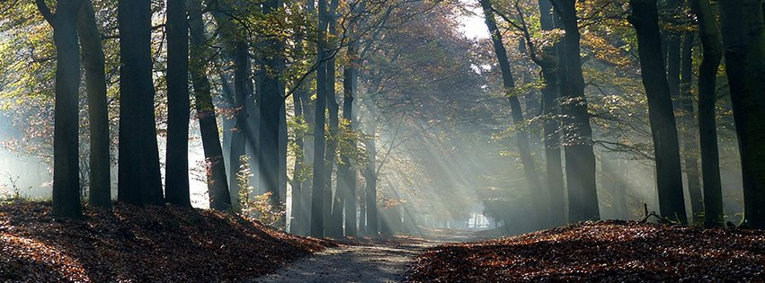 Mountainbike Experience Arnhem-阿纳姆必去景点