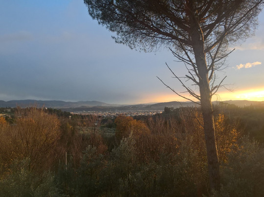 Florencewalk - Guided Tours in Florence-佛罗伦萨必去景点