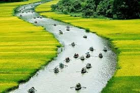 Halong Hanoi Transfer景点图片