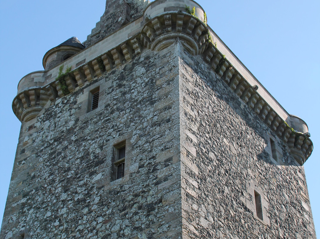 Fatlips Castle-Hawick必去景点