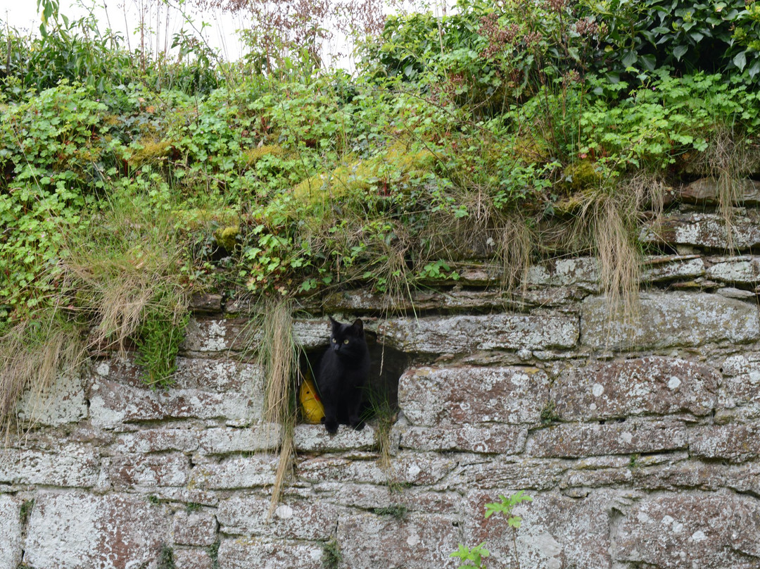 Lindores Abbey Ruins景点图片