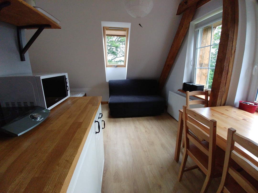 Lesne Apartamenty主图