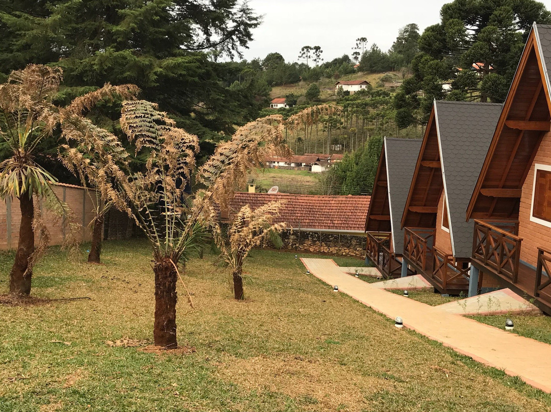 Chales Amabilis主图