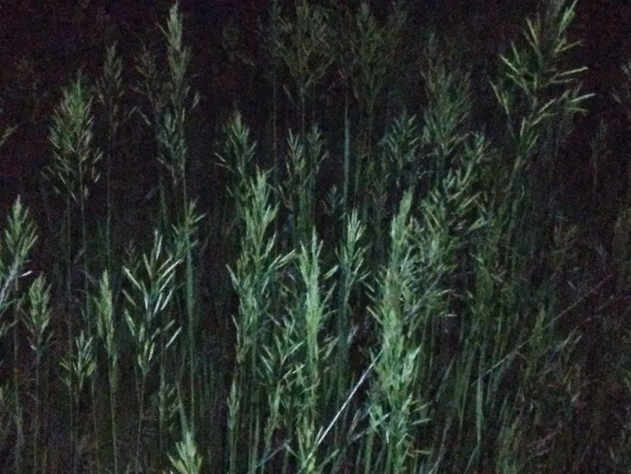 Crow Valley Recreation Area主图