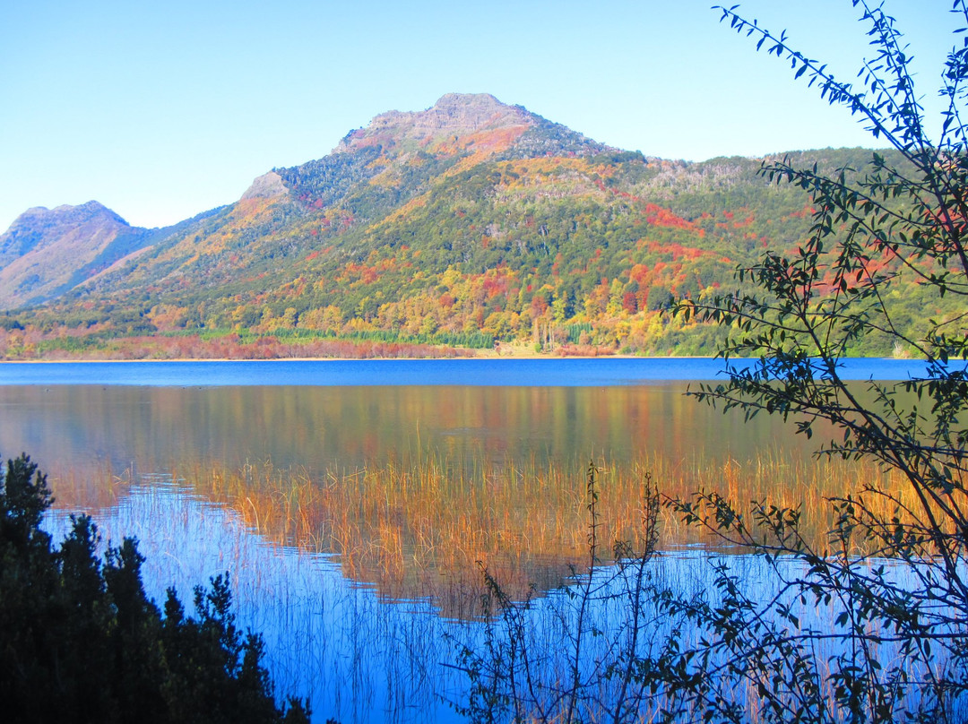 Curacautin旅游景点-Tolhuaca Volcano