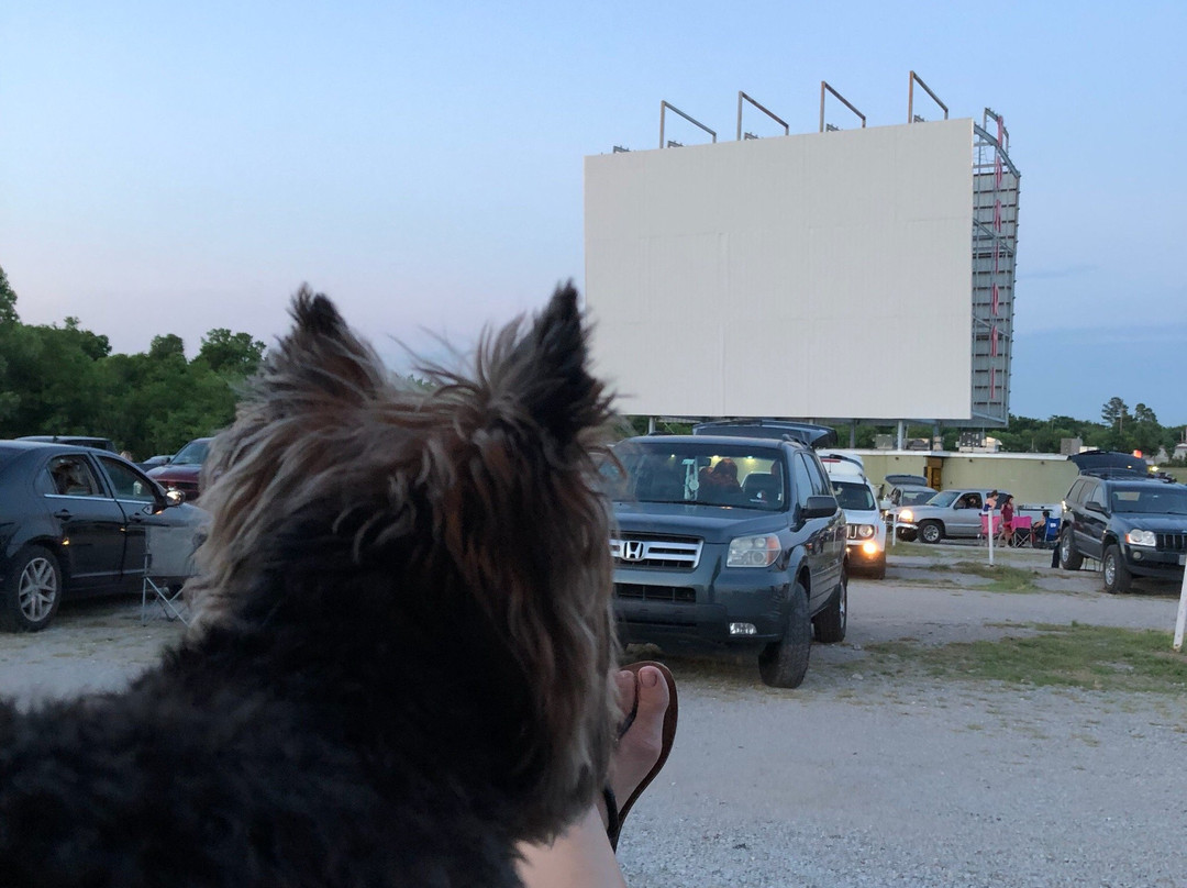 Admiral Twin Drive-In-塔尔萨必去景点