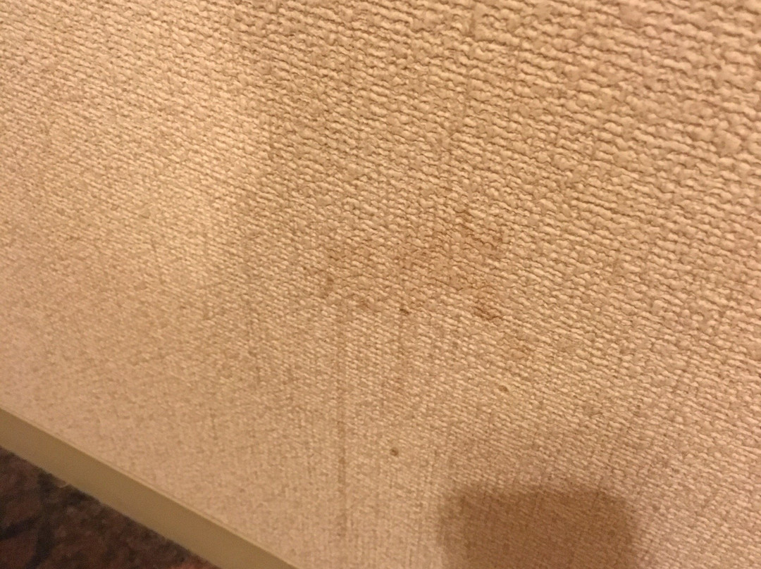 Hotel New Green Plaza主图