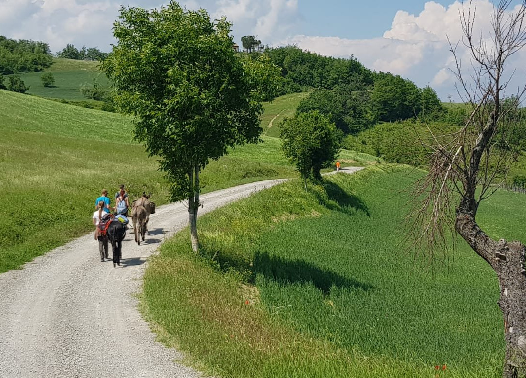 La Collina dei Ciuchini景点图片