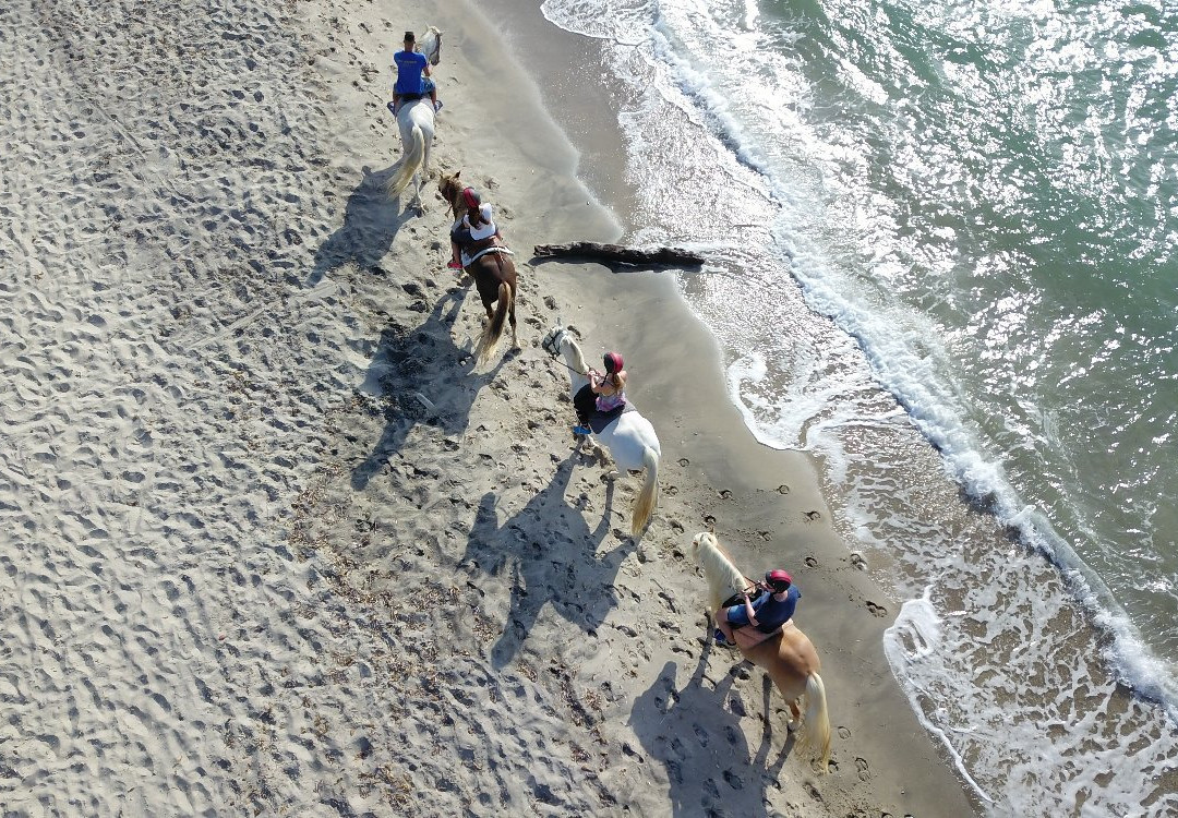 The Ranch Kos Horse Riding景点图片