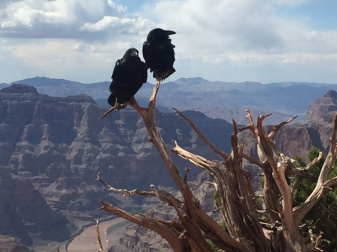 Las Vegas Custom Tours-拉斯维加斯必去景点