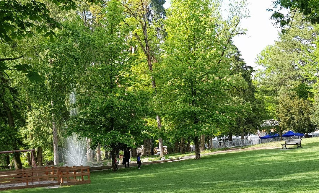 Parc de la Pépinière景点图片