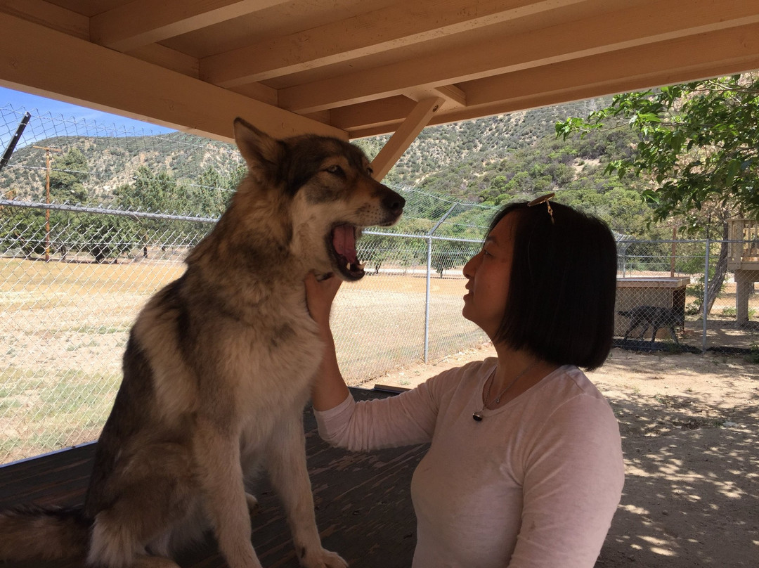 Shadowlands Foundation-Lake Hughes必去景点