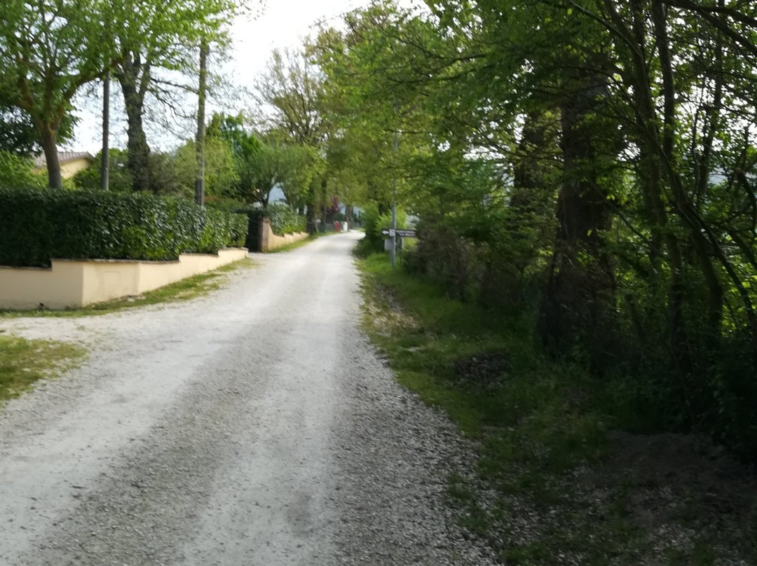 Agriturismo La Selva主图