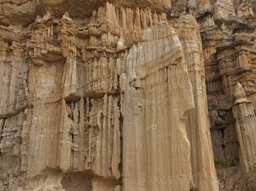 物茂土林-元谋县必去景点