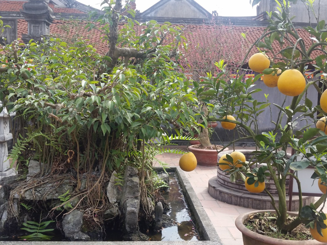 Dau Pagoda-北宁必去景点