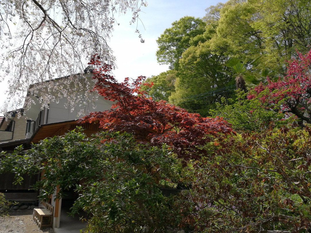 Hoohzan Iwanoued Temple - No. 20 Fudasho-秩父市必去景点