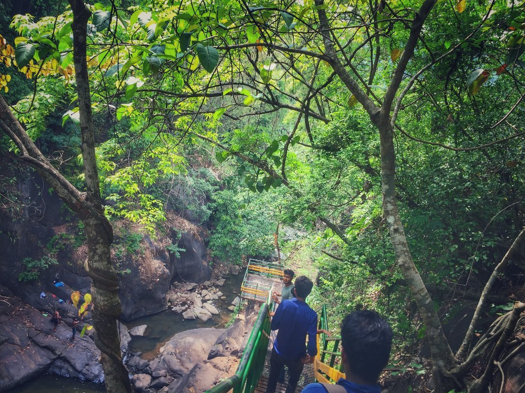 Keralamkundu Waterfall-Karuvarakundu必去景点