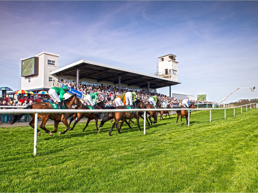 Downpatrick Racecourse景点图片