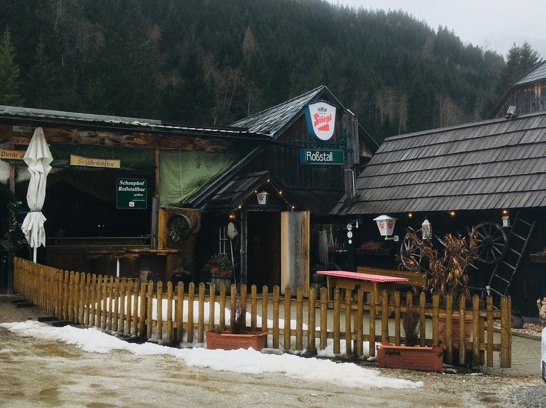 斯卡尤普霍夫度假公寓酒店