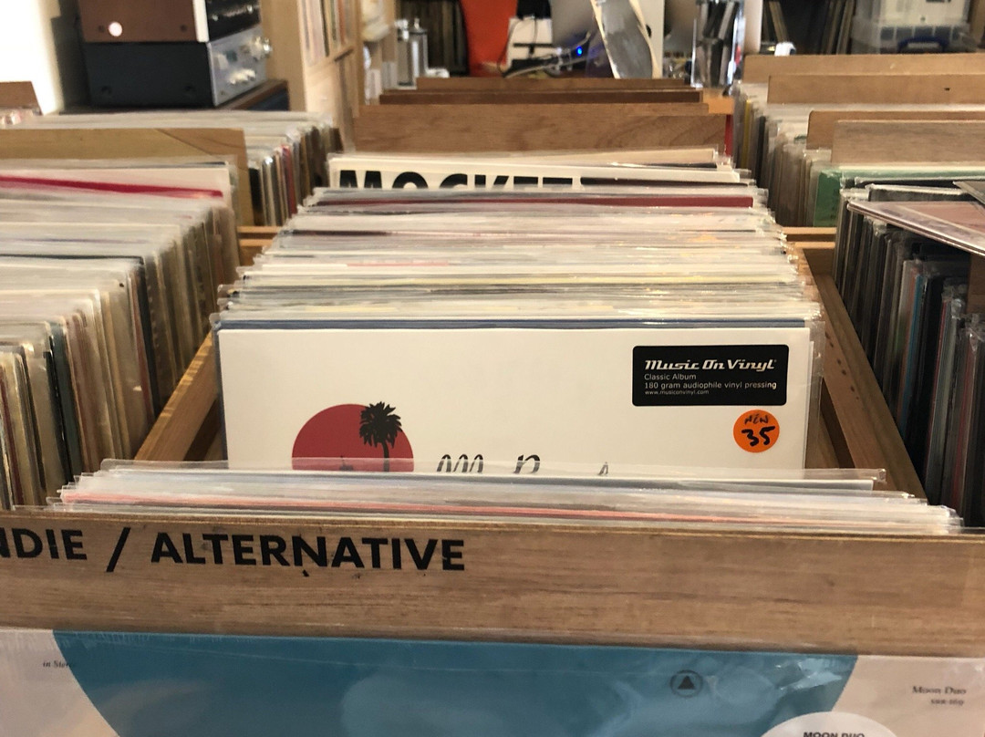 Dutch Vinyl Record Store景点图片