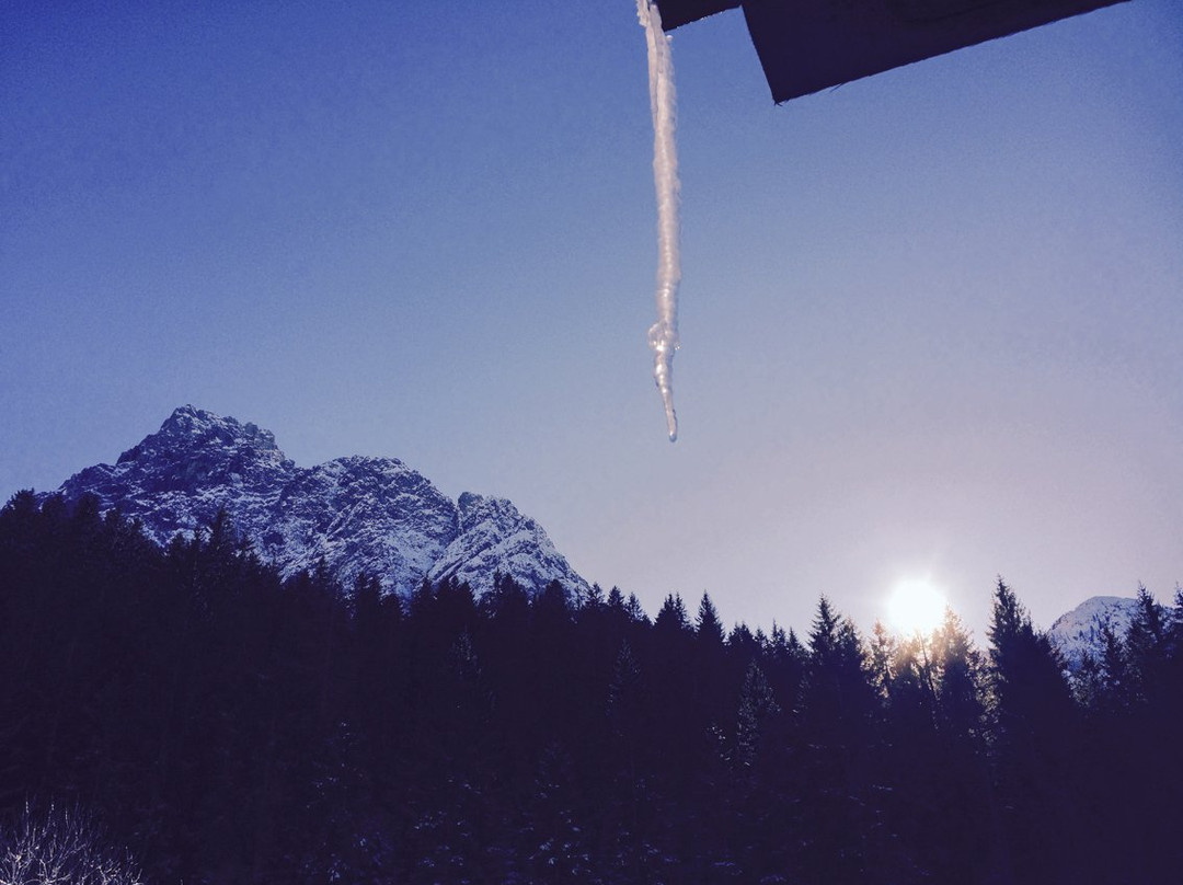 Sappada酒店住宿-Hotel Sport