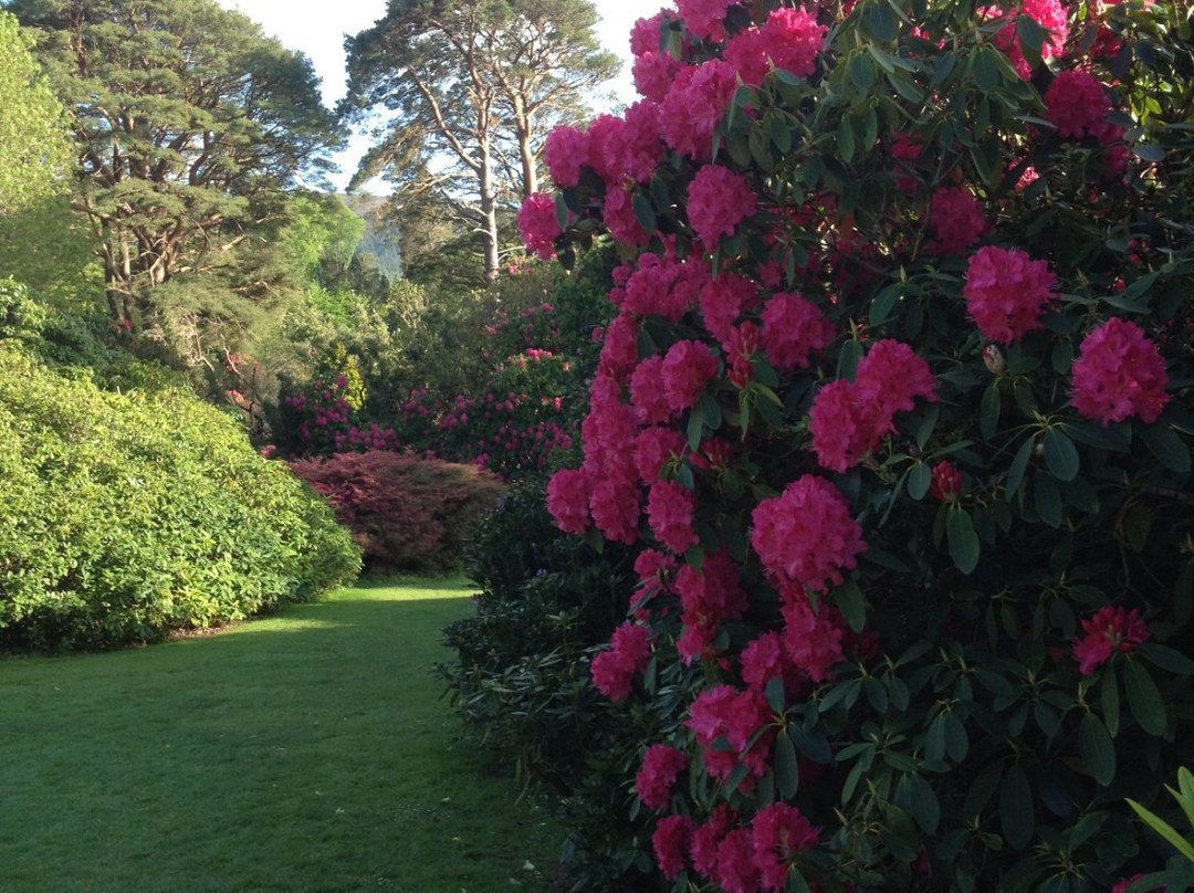 Walk With Me-基拉尼必去景点