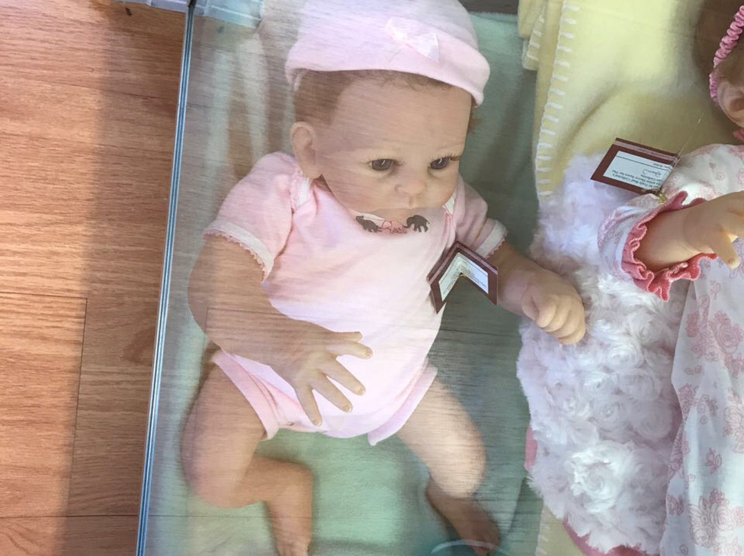 Judy's Dolls Shop-Longwood必去景点