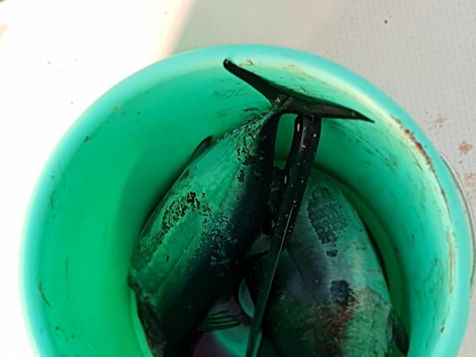 Oman Sail-Ruwi必去景点