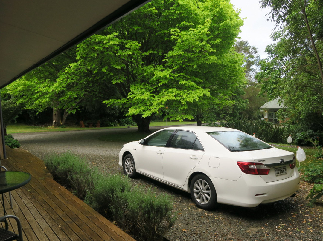 Havelock Garden Motel主图