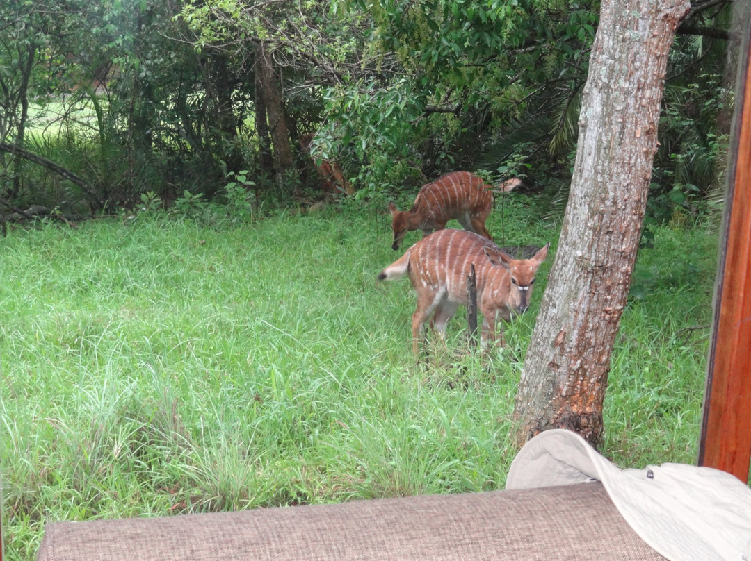 Hluhluwe Umfolozi Hilltop Camp主图