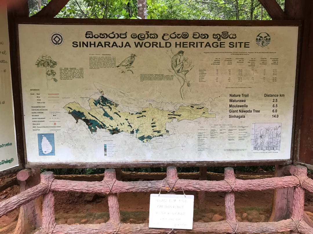 Birds Paradise Hotel主图