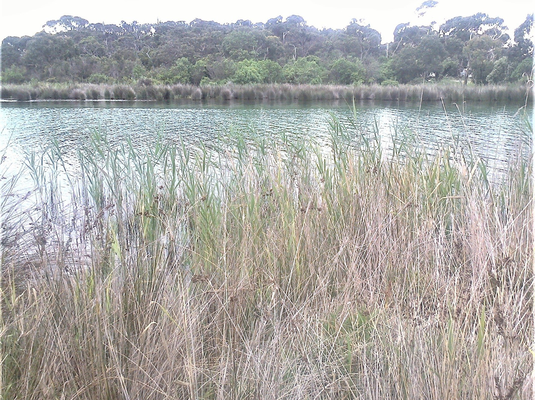 Coogoorah Park Nature Reserve-安格尔西岛必去景点
