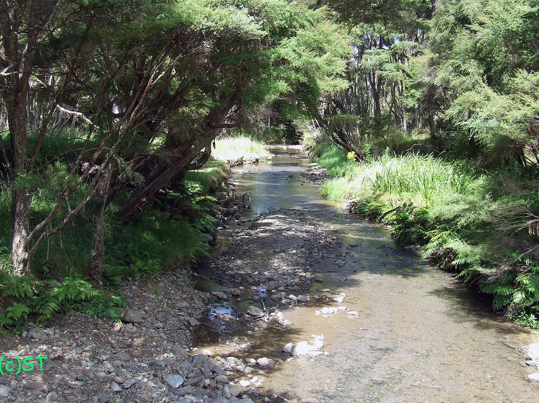 Waharau Regional Park-Whakatiwai必去景点
