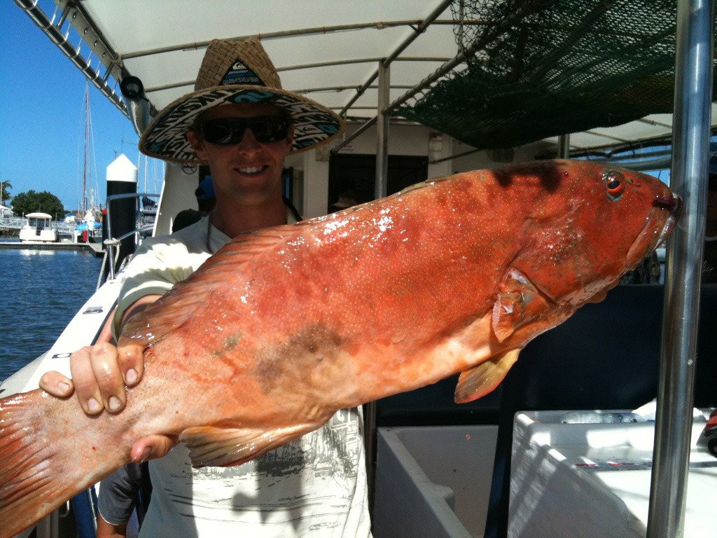 Offshore Reef & Game Fishing Mooloolaba景点图片