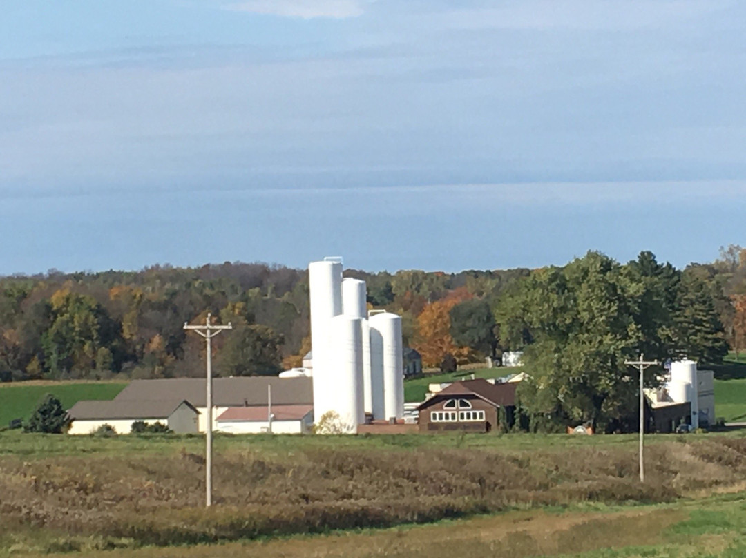 Cady Cheese Factory and Shop景点图片