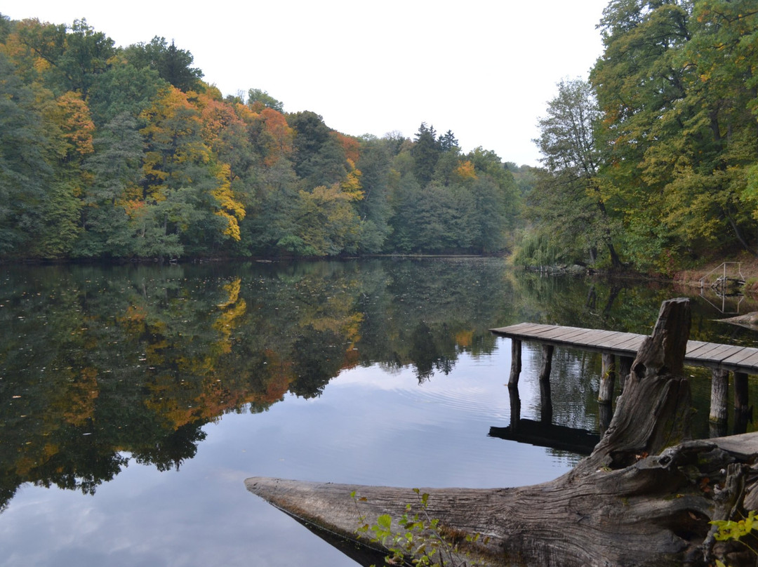 Neskuchnoye Landscape Park-Trostyanets必去景点