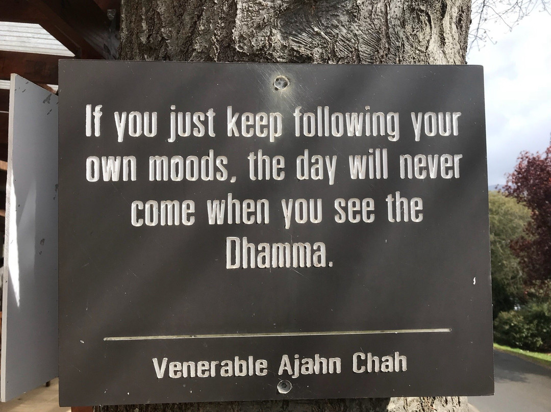 Buddha Bodhivana Monastery-华伯登必去景点