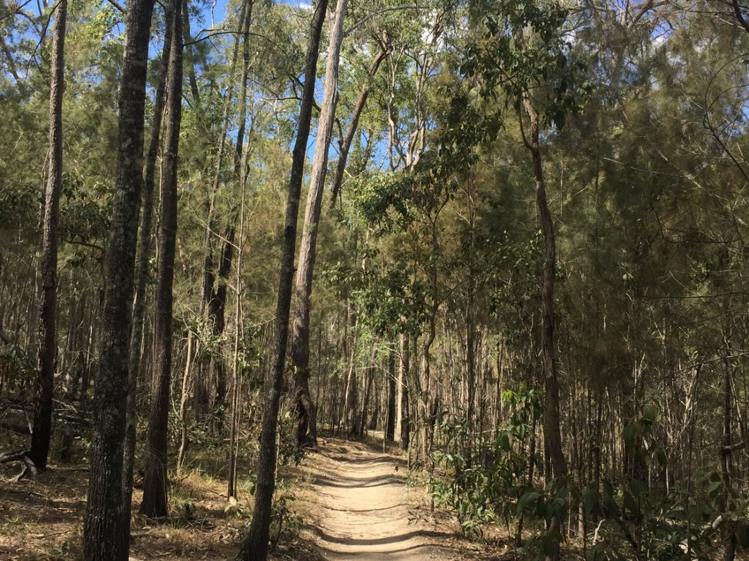 Nerang National Park-Nerang必去景点