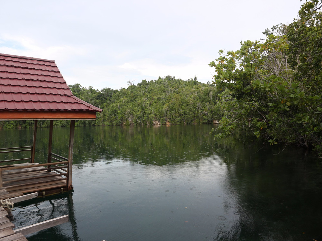 Lake Mariona景点图片