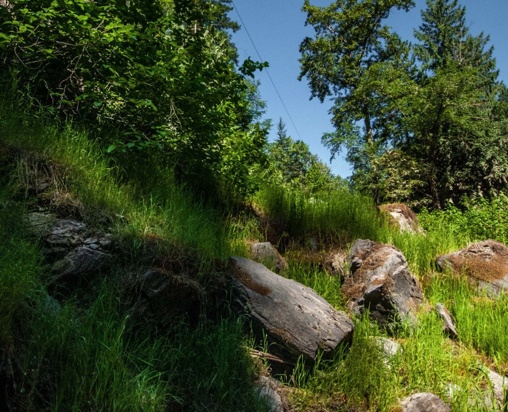 Treetop Flyers at Chase Canyon-Chase必去景点