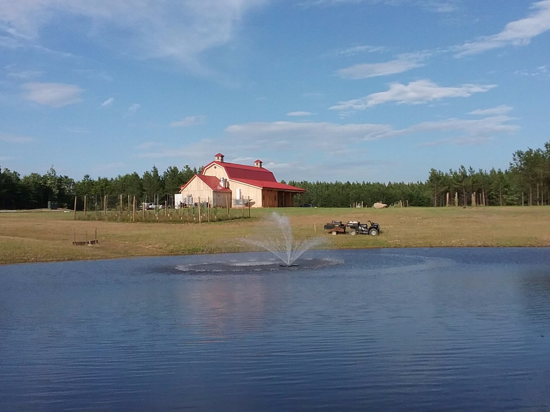 Mineral餐馆和美食-Callie Opie's Orchard Restaurant
